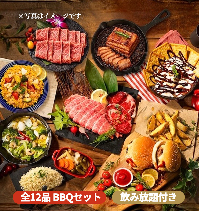 マッキンリープラン写真